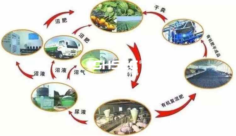 生态循环农业的概念,现代生态循环农业模式