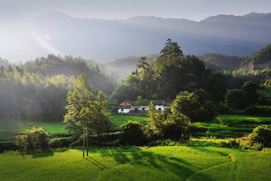 美丽乡村,美丽乡村规划,美丽乡村建设