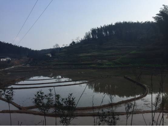 北京山合水易规划设计院